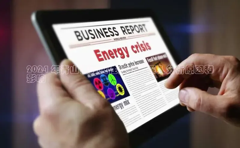 yy易游游戏官网入口同程2024 年青山区毁灭性火灾：深入分析原因和
影响