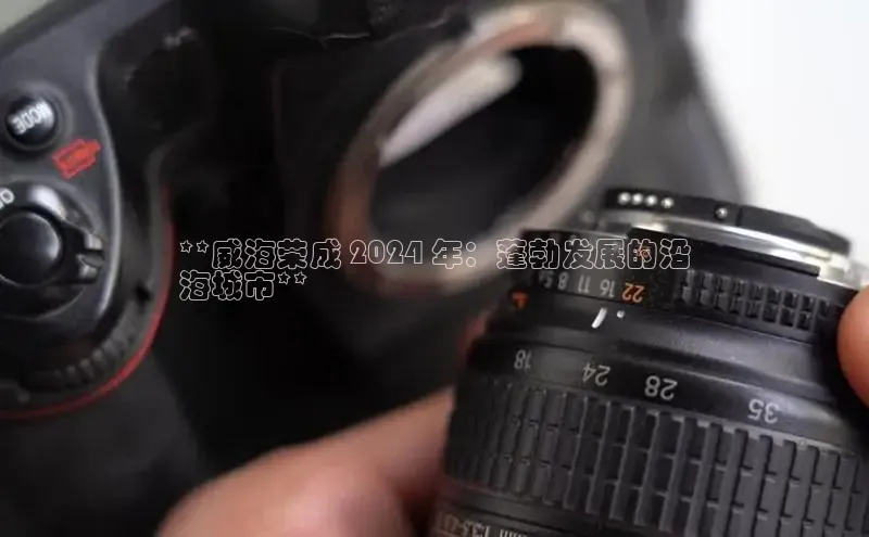 YY易游体育网址百度手机输入法**威海荣成 2024 年：蓬勃发展的沿
海城市**