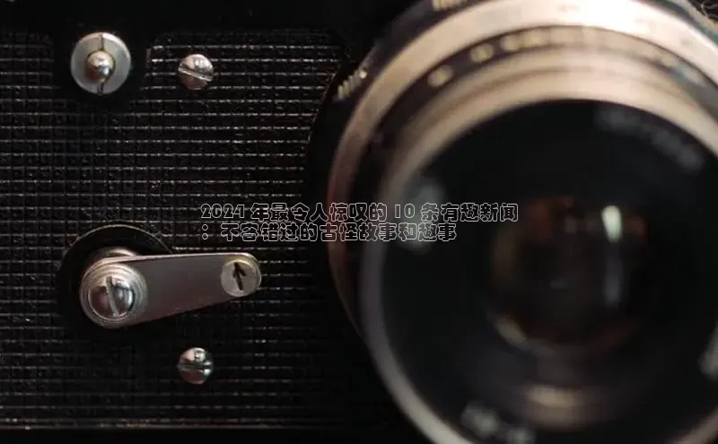 米乐m6yy易游百度手机助手2024 年最令人惊叹的 10 条有趣新闻
：不容错过的古怪故事和趣事