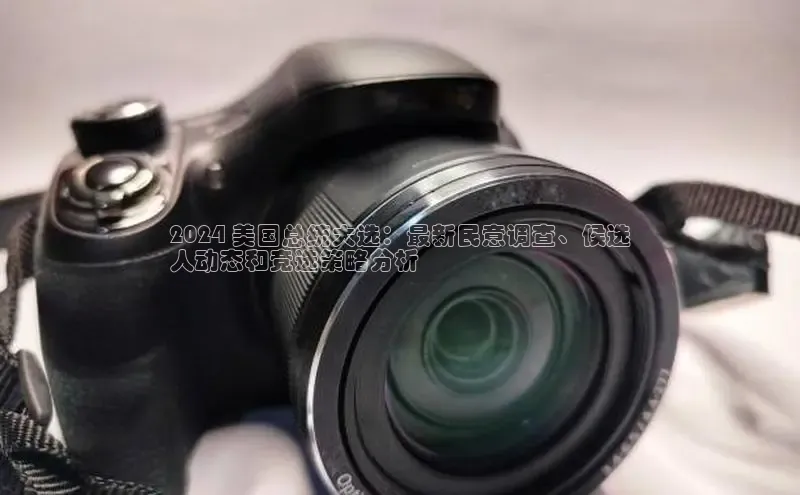 易游app官方下载颐驰 062024 美国总统大选：最新民意调查、候选
人动态和竞选策略分析