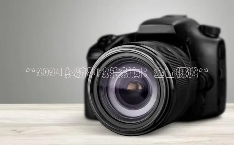 米乐·M6官网登录入口慧博云通**2024 经济和政治新闻：全面概述**