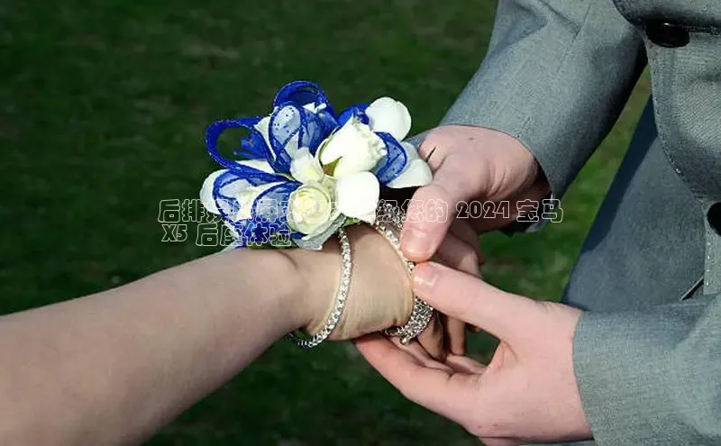 米乐m6易游网易