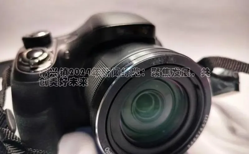 米乐m6小罗代言诸葛科技