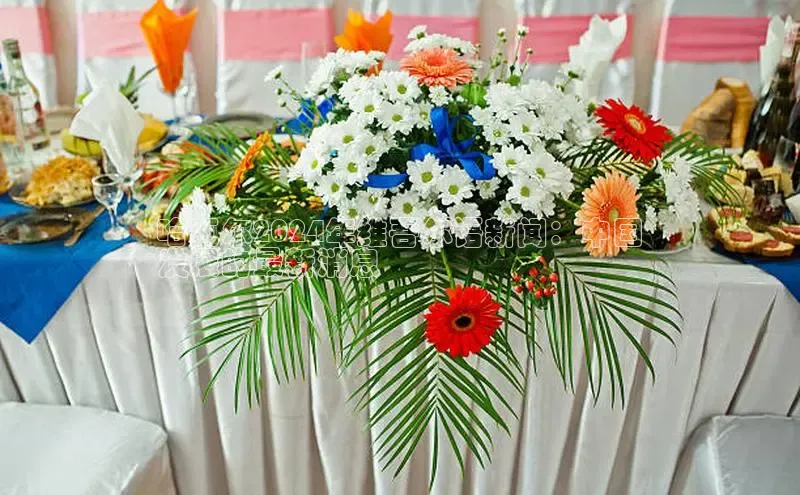 米乐YY易游小红书哈瓦尔2024年维吾尔语新闻：中国
发展的最新消息