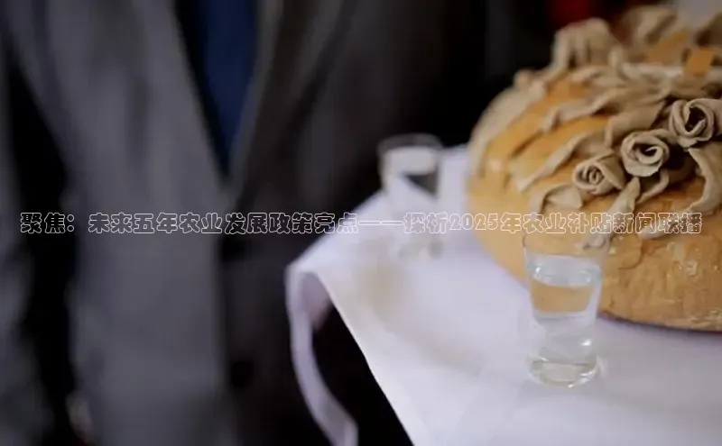 米乐YY易游下载百度网盘聚焦：未来五年农业发展政策亮点——探析2025年农业补贴新闻联播