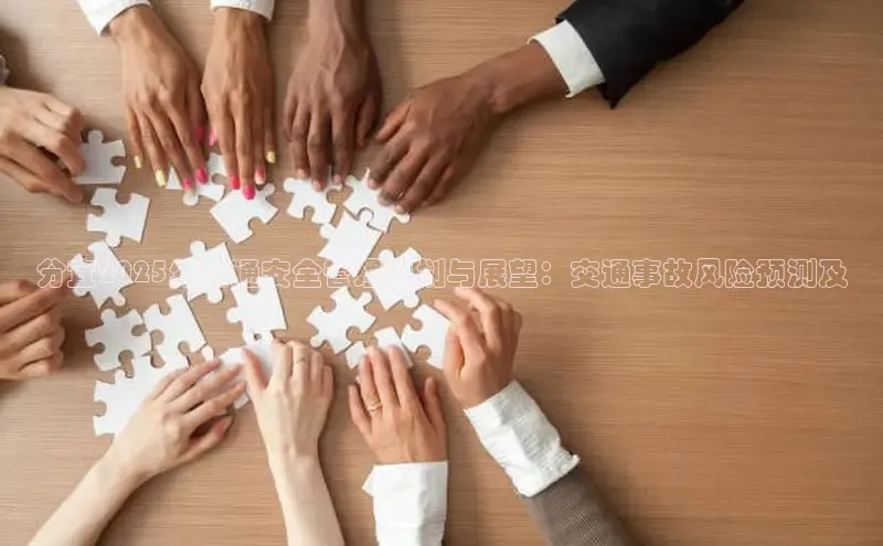 分宜2025年交通安全管理规划与展望：交通事故风险预测及