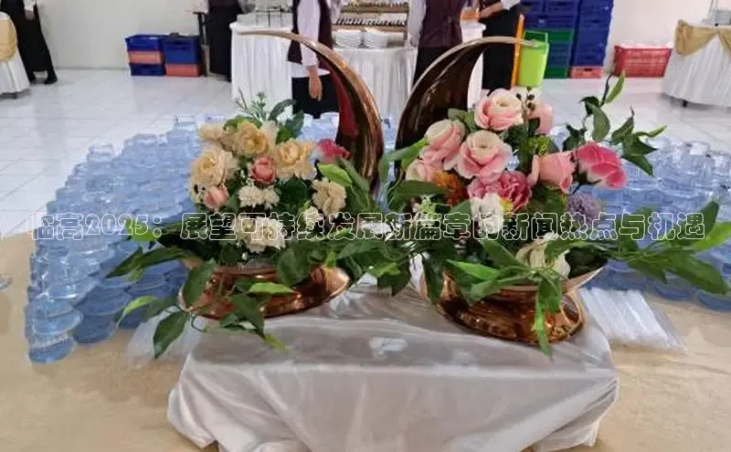 临高2025：展望可持续发展新篇章的新闻热点与机遇