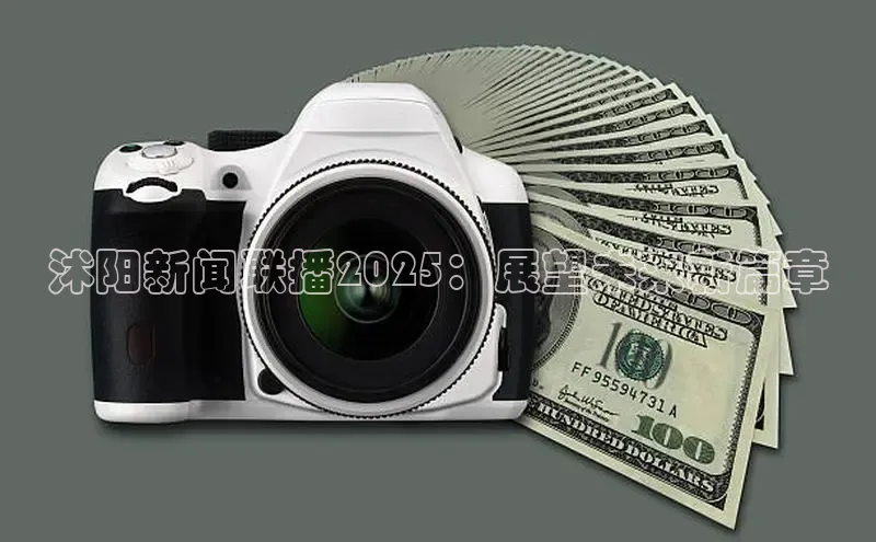 沭阳新闻联播2025：展望未来新篇章