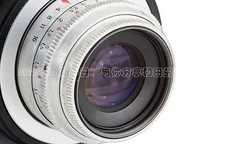 2025年2月26日：与你分享和田的最新新闻