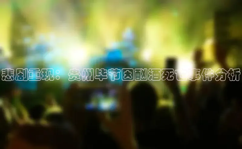 悲剧重现：贵州毕节因酗酒死亡事件分析