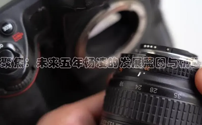 米乐YY易游下载