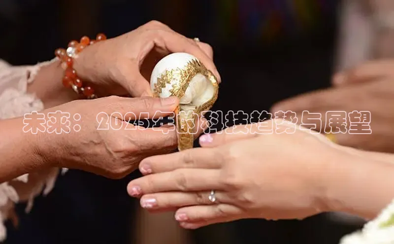 未来：2025年的科技趋势与展望