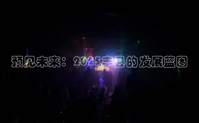 预见未来：2025丰县的发展蓝图