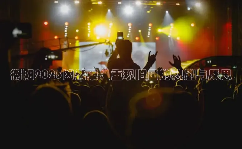 衡阳2025凶杀案：重现旧日的悲剧与反思